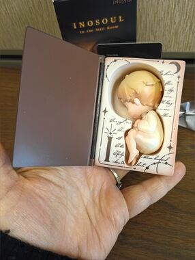 T14 Inosoul Confirmed Blind Box Figure In The Still Room